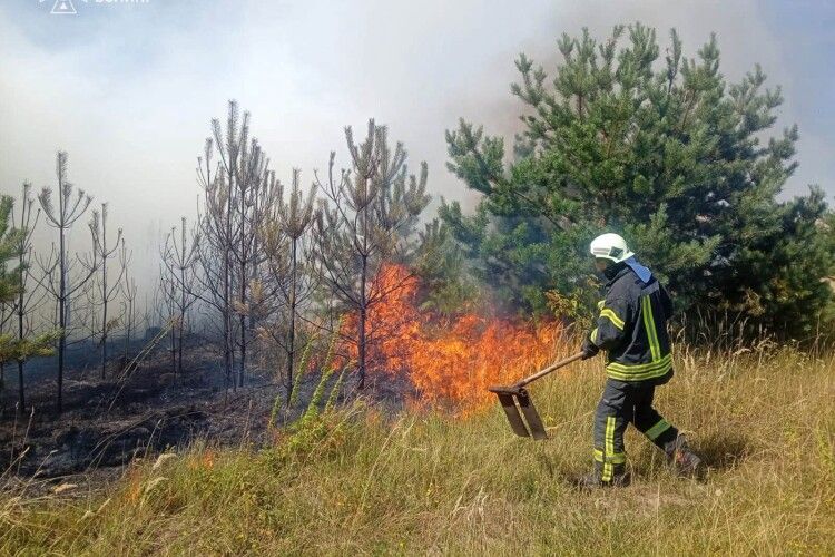 На Волині упіймали палія стерні