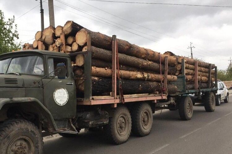 Деревина під замком: помилка у документах коштувала волинянину вантажівки та 60 колод