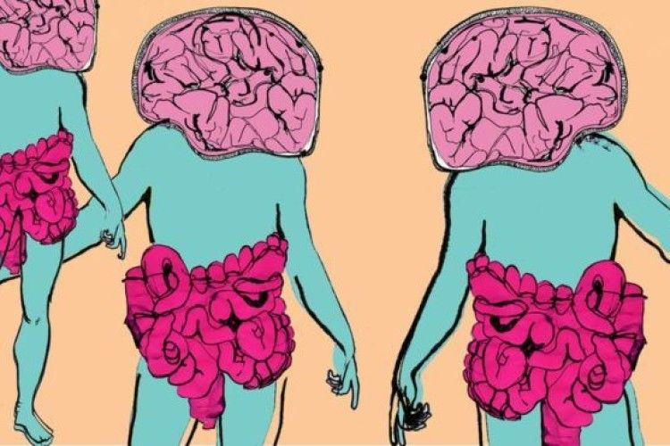Як бактерії змінюють наш настрій?