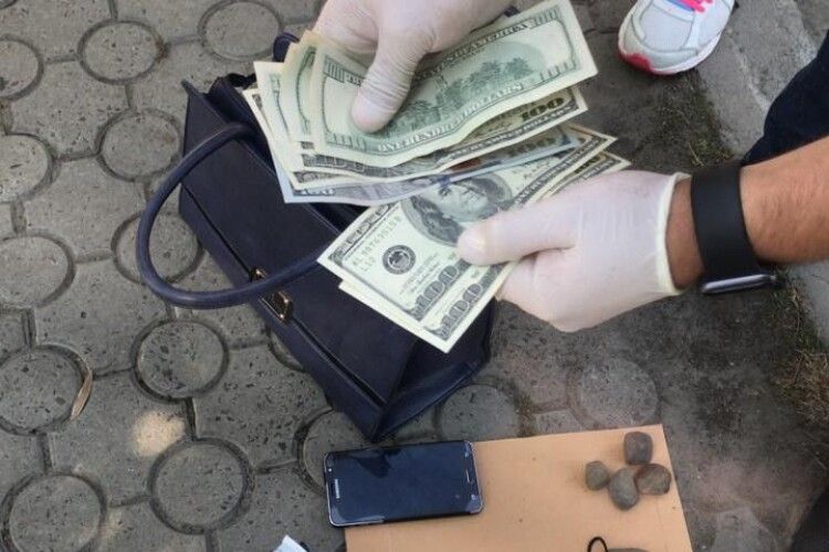 На Волині посадовиця вимагала 1 000 доларів хабара від учасника АТО (фото)