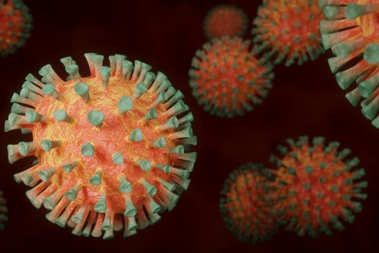 «Чотири коронавіруси постійно циркулюють у природі, і ми заражалися ними все життя», – інфекціоніст
