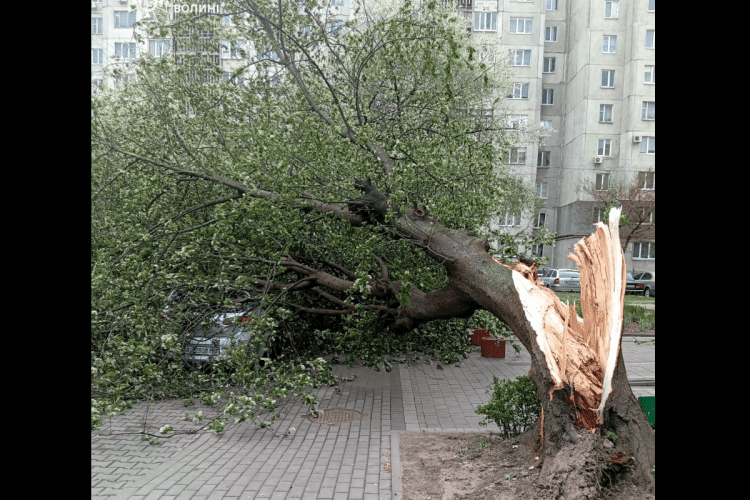 Сильний вітер наробив біди на Волині