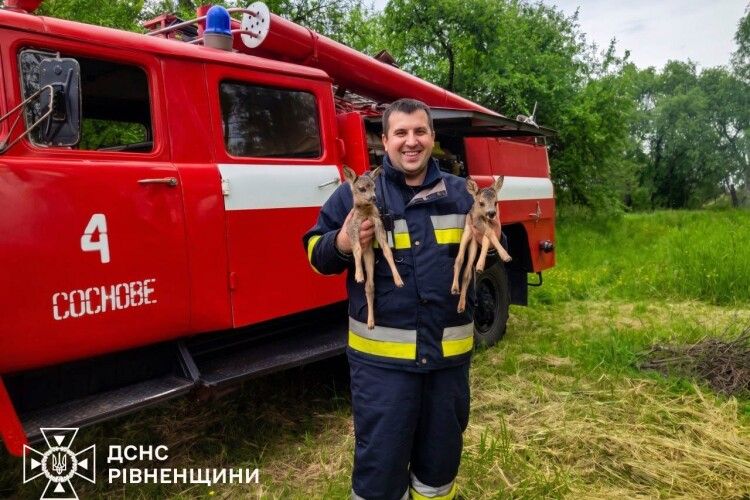 На Рівненщині врятували двох оленят із вогняної пастки (Фото)