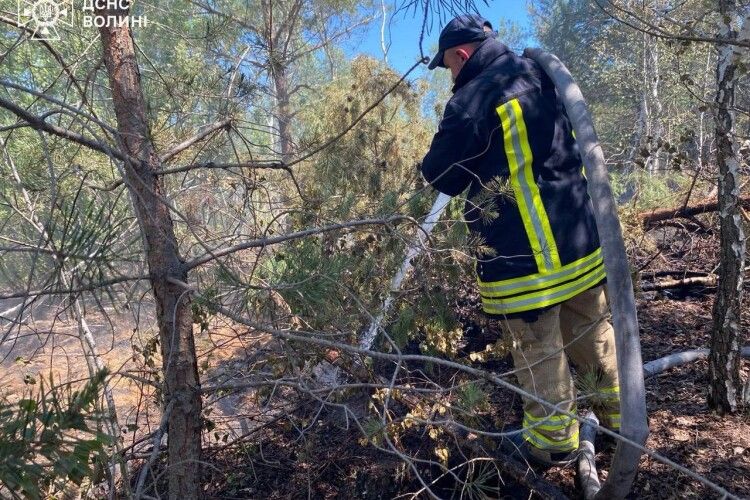 У ці хвилини на Волині гасять торфовище пожежники з п’яти міст