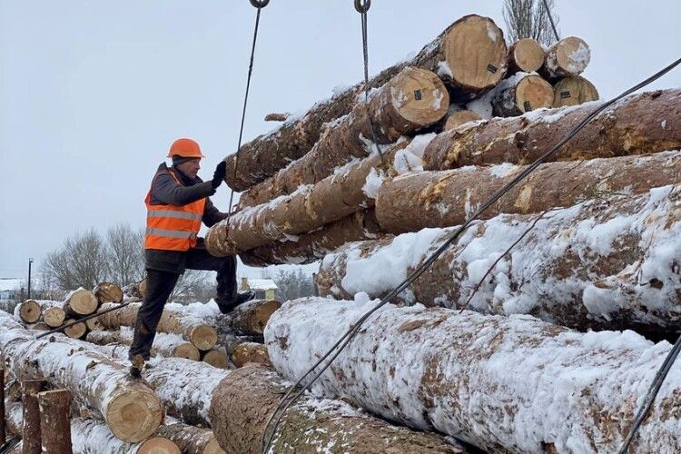 Скільки лісоматеріалу лісівники Полісся поставили на потреби ЗСУ