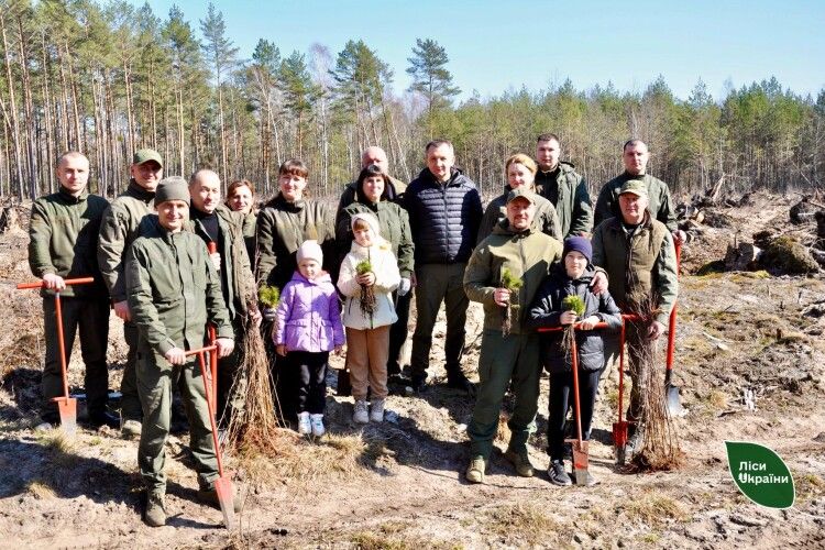 На Волині відновлюють ліси після руйнівного буревію