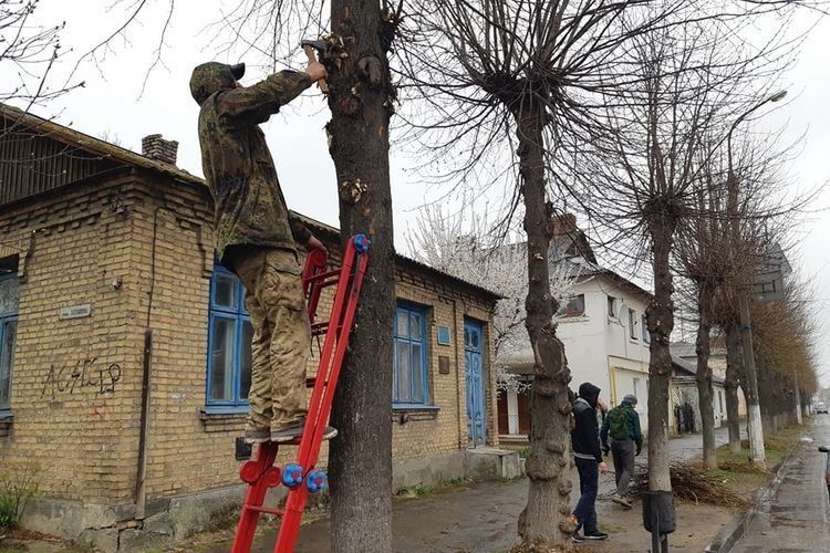 На рожищенських вулицях завершують санітарну обрізку дерев