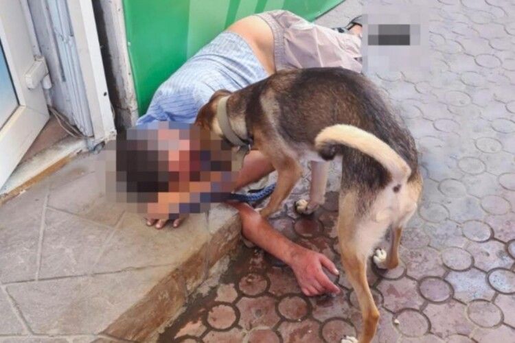Вірний пес захищав від сторонніх свого господаря, який втратив свідомість (Відео)