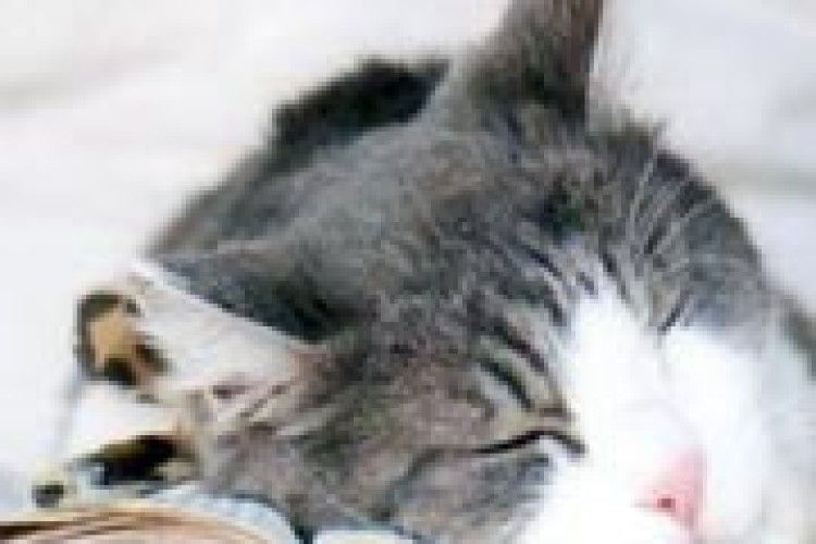 ФОТОЖАРТ: до сесії ще далеко!