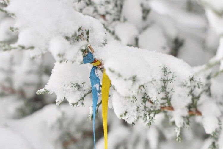 Митрополит Луцький і Волинський звернувся до вірян з зв’язку з морозами