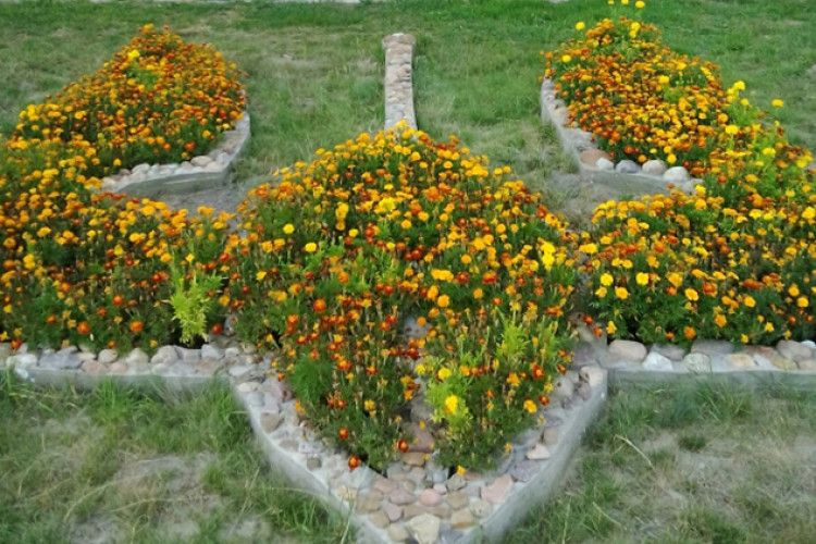 Герб зацвів чорнобривцями