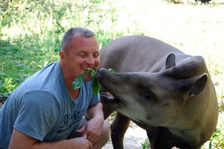 У Рівному директор Київського зоопарку цілувався з тапіркою Майєю (фото)