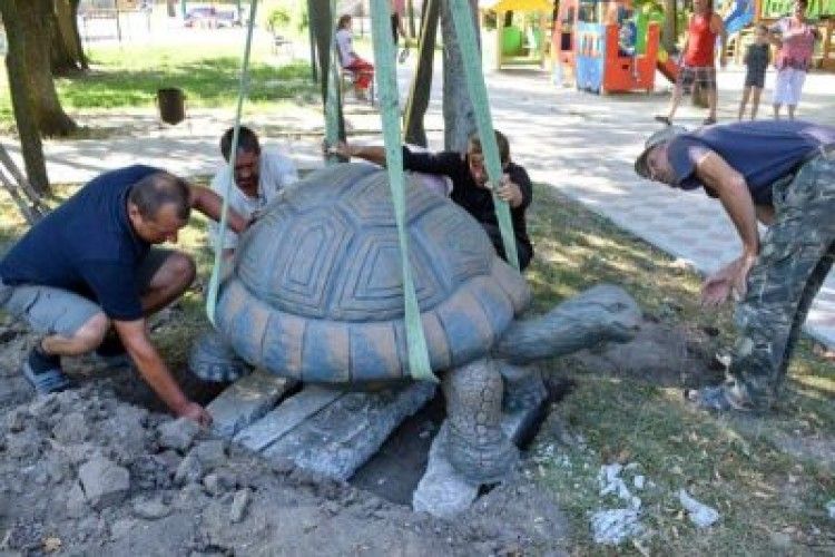 На Рівненщині в центрі міста з’явилася гігантська черепаха (фото)