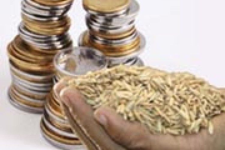 ЧИ ПРОДОВЖАТЬ МИТО НА ЗЕРНОВІ?