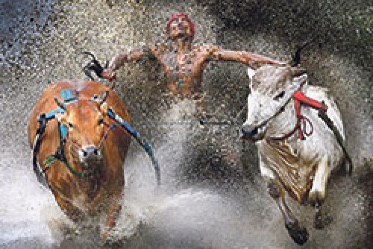 ФОТОКОНКУРС: це вам не футбол знімати...