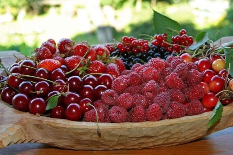 Будемо їсти досхочу: в Україні добряче знизяться ціни на сезонну ягоду