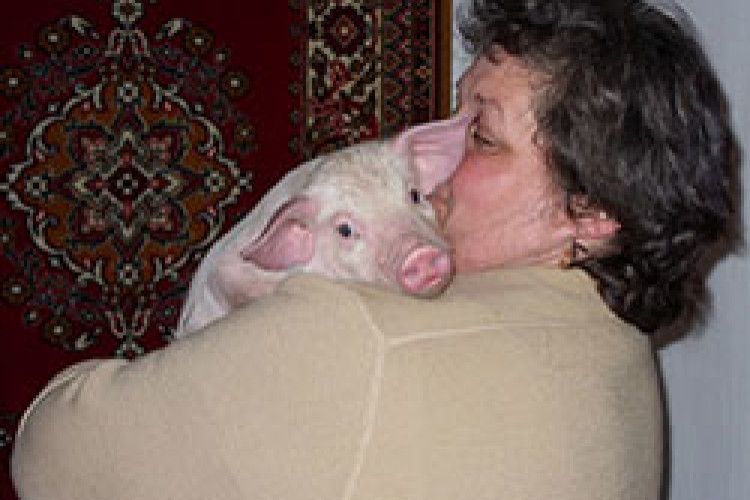 ФОТО НА КОНКУРС: побічні наслідки любові