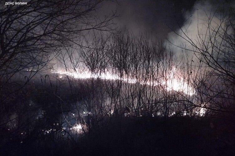 На Волині вогонь ледь не перкинувся на кладовище