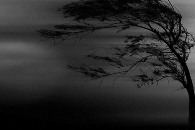 Обережно! – Цієї ночі на Волині бушуватимуть вітри!