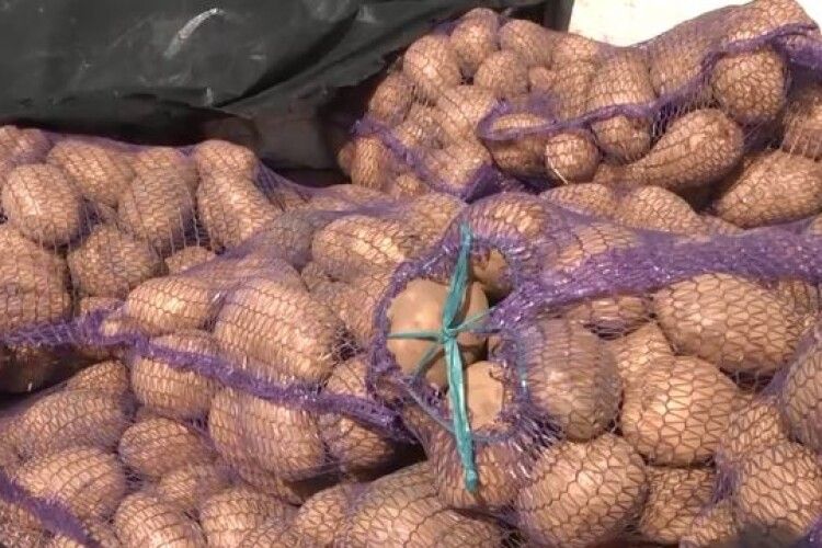 Чому в Україні стрімко здешевшала картопля?