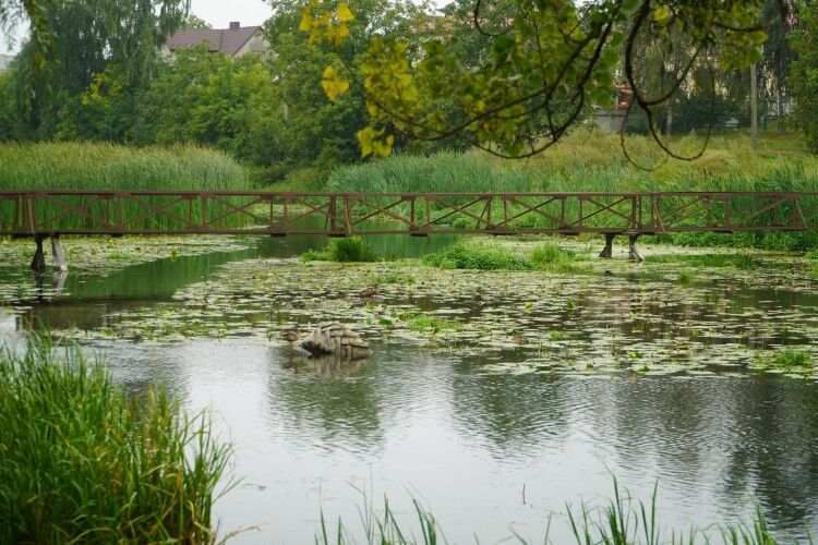 У центрі волинського міста розчищають джерело питної води (Фото)