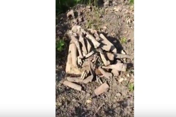 Луцький депутат оприлюднив відео про розкопки чорних археологів