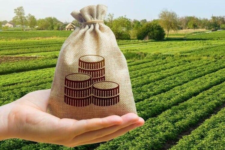 Громаді на Волині хочуть повернути земельні ділянки вартістю більше 36 мільйонів гривень