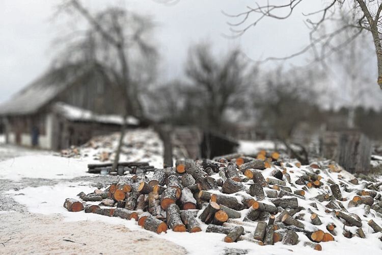 Репортаж з глибинки: як живуть старики, загублені в снігах на краю Волині (Фото)