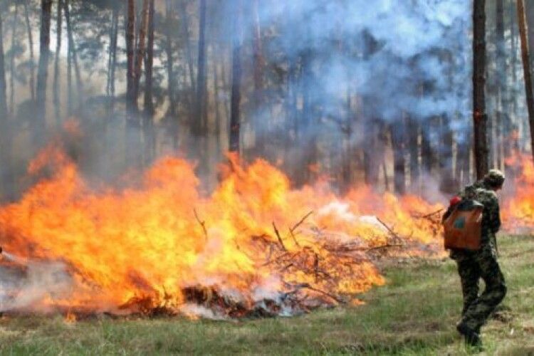 На всій території Рівненщини сьогодні надзвичайна пожежна небезпека