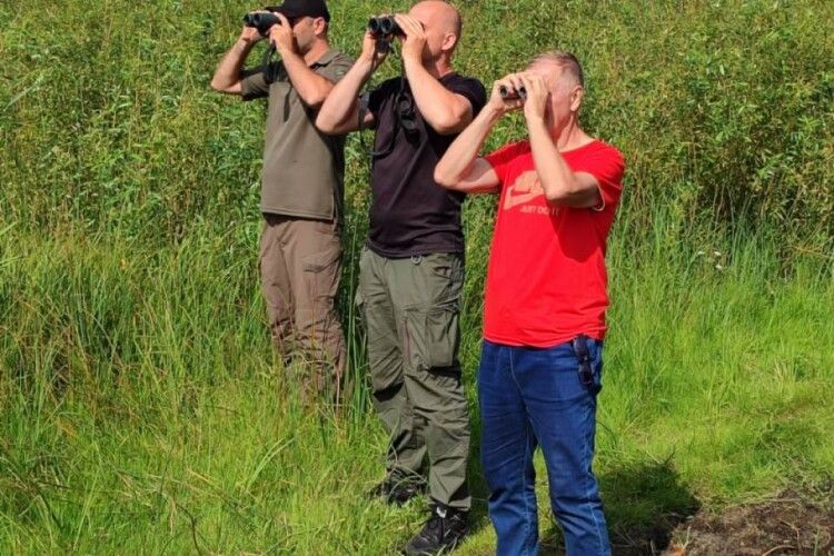 Порахували, скільки видів птахів живе в нацпарку на Волині 