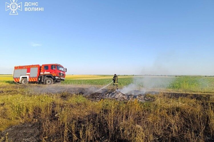 Волинь палає через спеку та людську недбалість