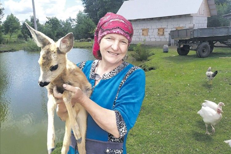 Волинські господарі: «Весною хтось застрелив козулю, але одне козеня ми виходили – і тепер для місцевої малечі у нас зоопарк» (Фото)