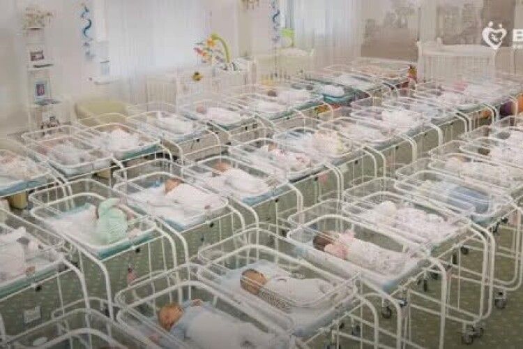 Продали пів сотні українських... немовлят (Відео)