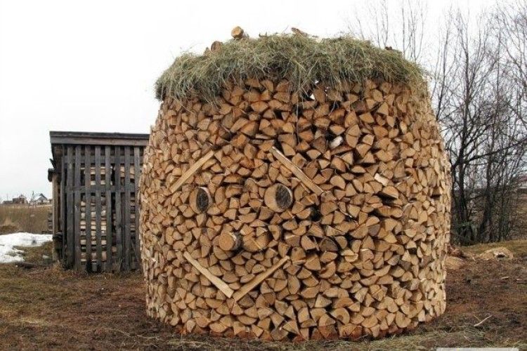 У Нацпарку «Прип'ять-Стохід» за в'язку дров правитимуть Франка з Хмельницьким