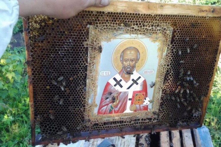 Бджоли, створюючи соти, не торкаються лика святих