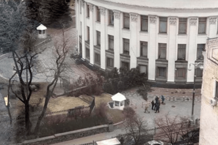Величезна ялина атакувала будівлю Верховної Ради (фото)