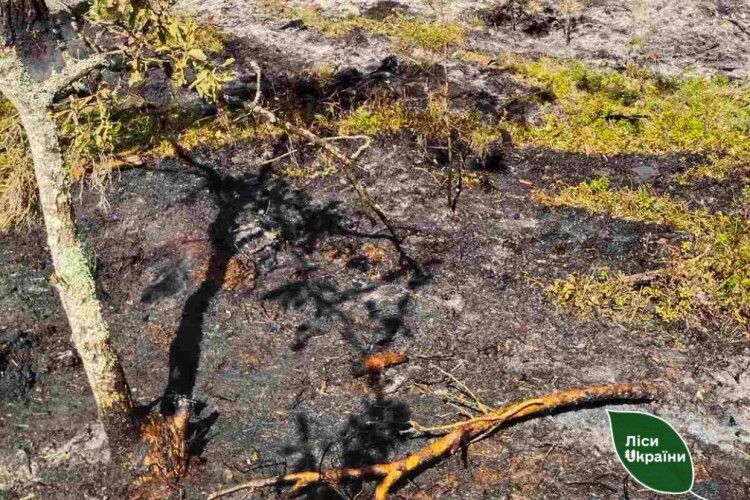 Уламки шахеда та пожежа: на Волині та Рівненщині рятували ліси