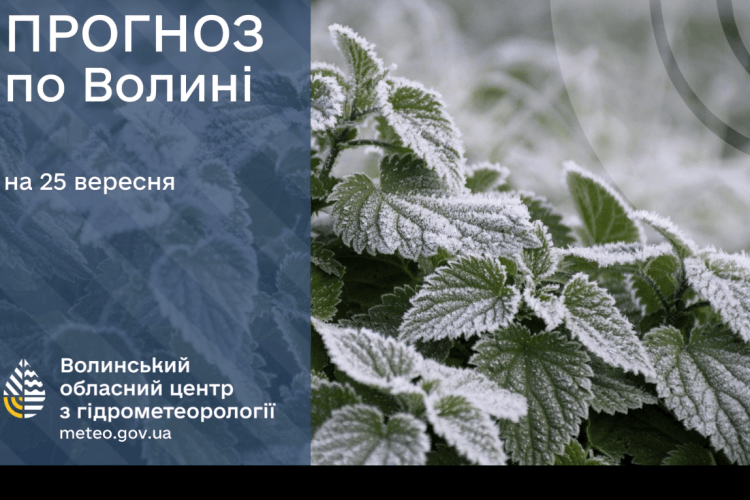 Ранок на Волині розпочався із заморозків на поверхні ґрунту 