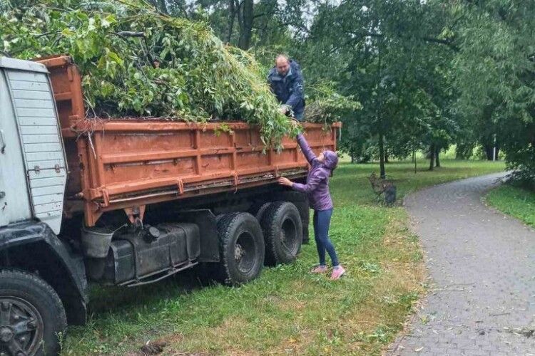 У Володимирі вітер наламав дерев (Фото)