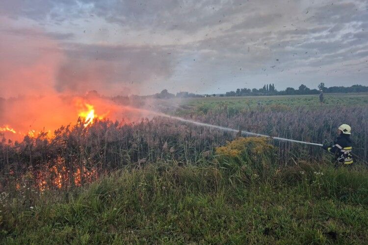 Рятувальники оштрафували двох волинян за підпали сухої рослинності