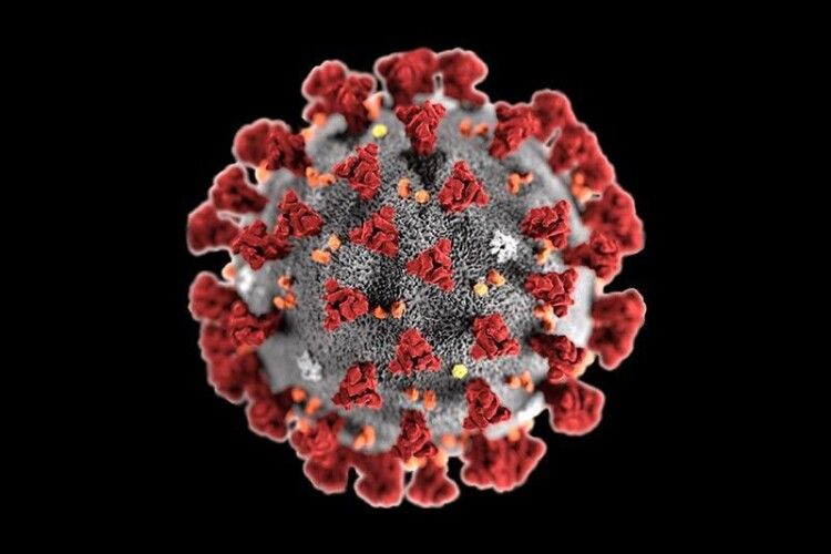 На Рівненщині від ускладнень коронавірусу померла 13-річна дитина