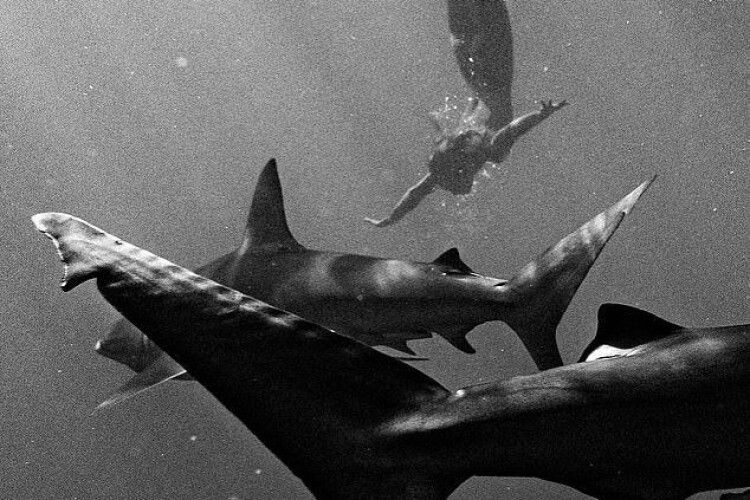 Модель Playboy знялась оголеною з акулами-людожерами (Фото)
