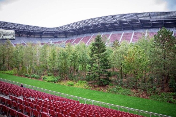 В Австрії на футбольному стадіоні висадили 300 дерев