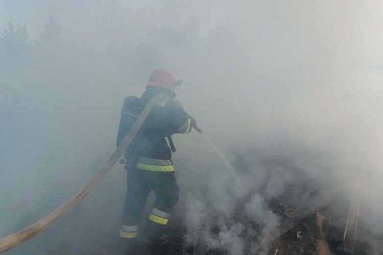 Рівненські рятувальники гасили пожежу, в якій загинула тварина