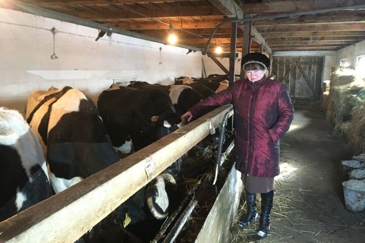 У волинянки Тамари Андрейчук аж 23 корови