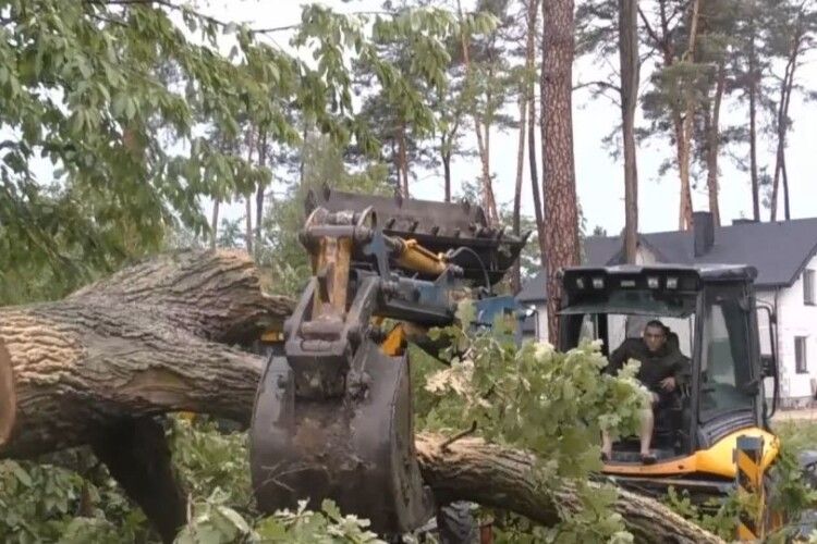 Негода на Львівщині забрала життя молодої жінки – на її хату впало дерево