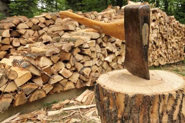 Лісники пропонують волинянам дрова