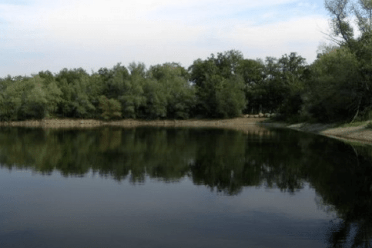 На Волині державі повернули землі природно-заповідного фонду з озером площею майже 100 га