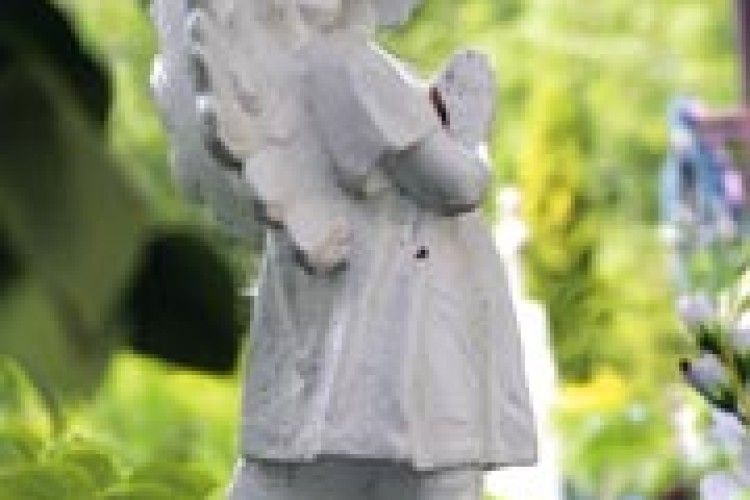 КОНФЛІКТ У ХРАМІ