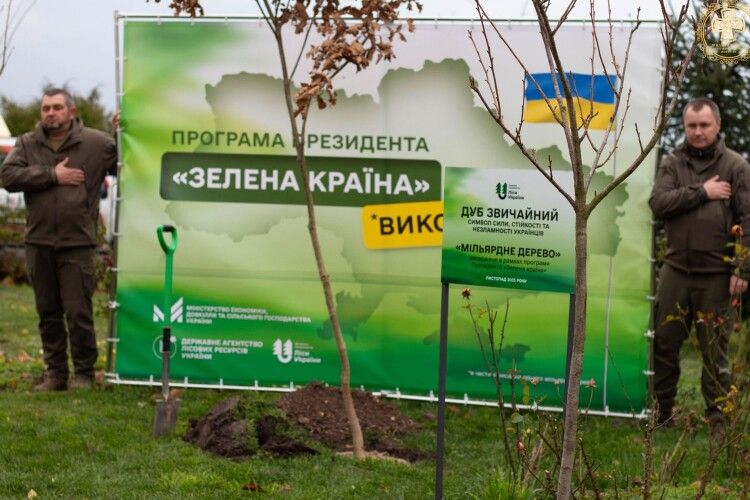 У селі на Волині висадили мільярдне дерево